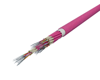 Câble SlimCORE™ 144F - OM4, Violet Érika