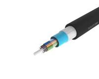 
Non-Metallic Armoured Loose Tube Outdoor Fibre Cable – PE/NY Jacket, 72
Fibre