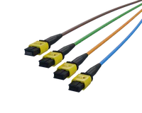 Branches amont MPO-8 FlexSHUFFLE™, codées en bleu, orange, vert et marron
