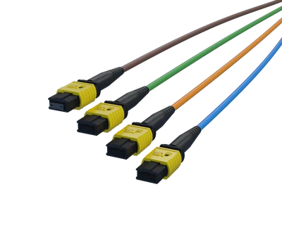 Branches amont MPO-8 FlexSHUFFLE™, codées en bleu, orange, vert et marron