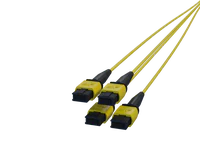 12 Fibre MPO Connectors
