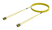 48 Fibre Single Mode MPO(12F) Trunk