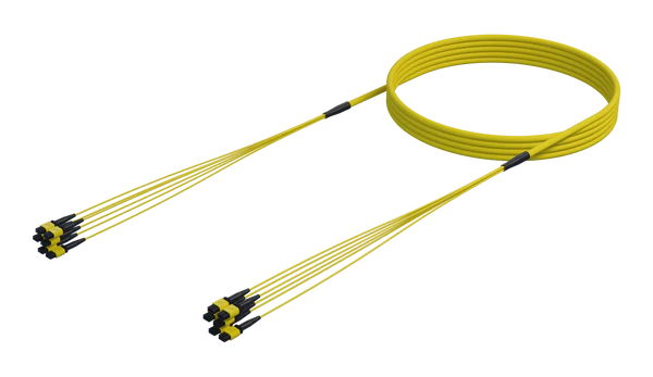 48 Fibre Single Mode MPO(12F) Trunk