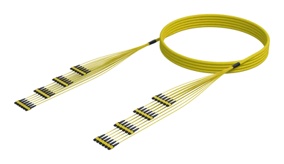 288 Fibre Single Mode MPO(12F) Trunk