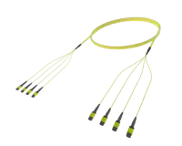 48 Fibre Single Mode MPO(12F) Trunk