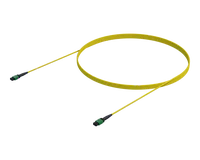Câble MPO droit compatible NVIDIA (OS2 APC)