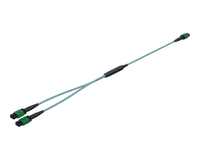 MPO 1:2 Splitter Cable (NVIDIA MFP7E20 Equivalent)