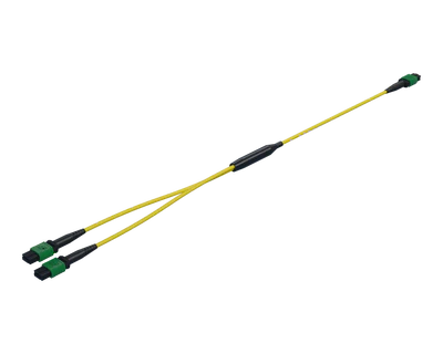 MPO 1:2 Splitter Cable OS2 (NVIDIA MFP7E40 Equivalent)