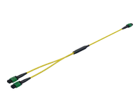MPO 1:2 Splitter Cable OS2 (NVIDIA MFP7E40 Equivalent)