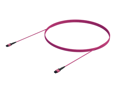 12 Fibre OM4 Multi Mode MPO(12F) Trunk, Erika Violet