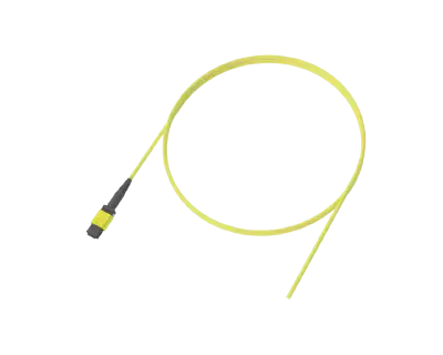 Flexible Ribbon Optical Pigtail, 12 Fibre, MPO/APC