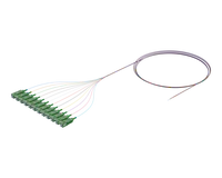Pigtail optique à ruban flexible, 12 fibres, SC/APC