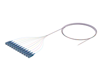 Pigtail optique à ruban flexible, 12 fibres, SC/UPC