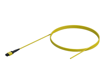 Pigtail MPO à fibre nue, 12 fibres, gaine de 3 mm