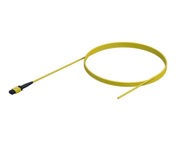 Pigtail MPO à fibre nue, 12 fibres, gaine de 3 mm